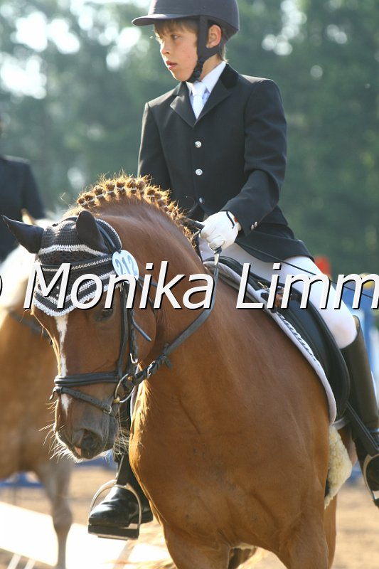 104M4884_Prinz_Dressur E.JPG